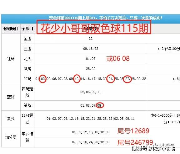 2024年开奖结果新奥今天挂牌,实时解答解释落实_试点版.0.360