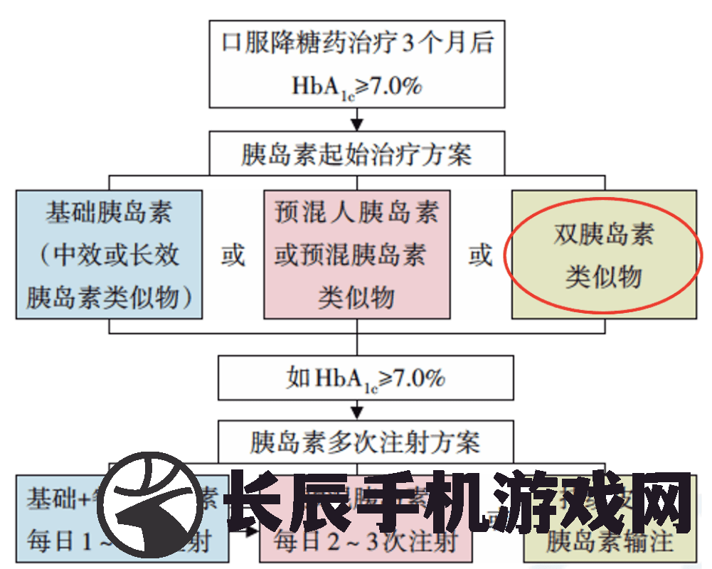 澳门历史198期完整记录，探寻新的历史篇章，全面解读澳门历史