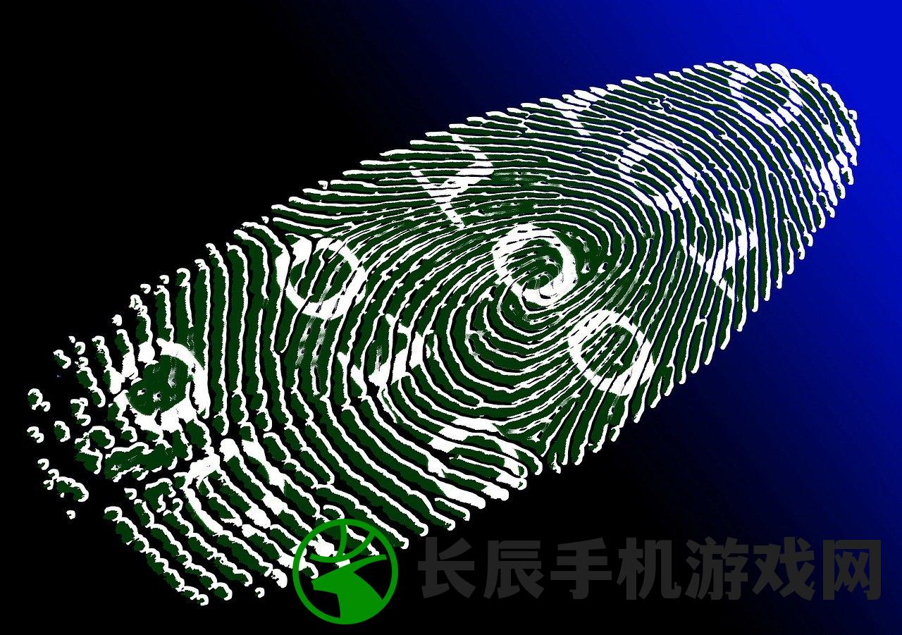 2024新澳免费资科大全：探索火凤凰与科技融合的未来之路
