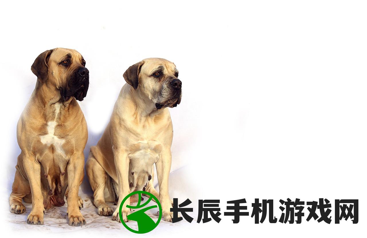 寻找尘白狸花猫工作室的详细地址和联系方式