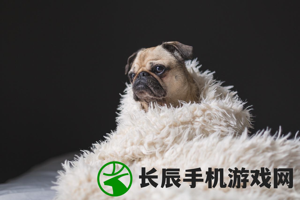 寻找尘白狸花猫工作室的详细地址和联系方式