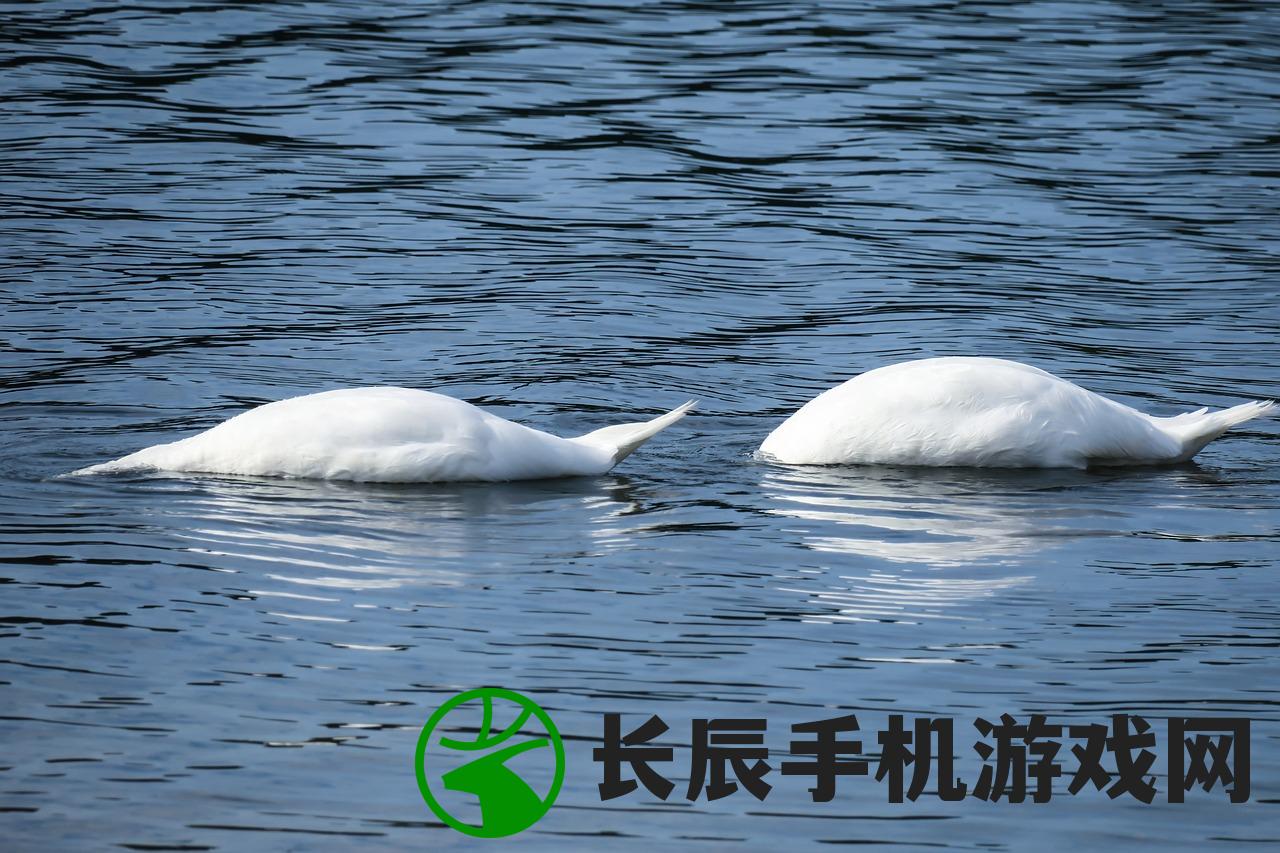 (狩猎时刻蛋怎么孵化)如何让狩猎时刻宠物蛋孵化？孵化过程详细步骤分享
