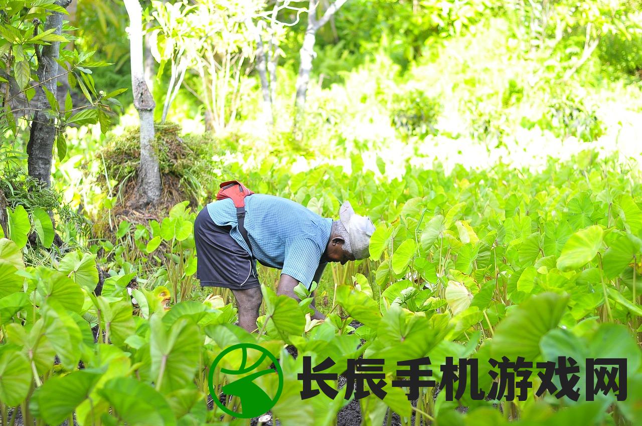 (屠龙战神手游攻略图文)屠龙战神手游攻略大全，从新手到高手的全面指南