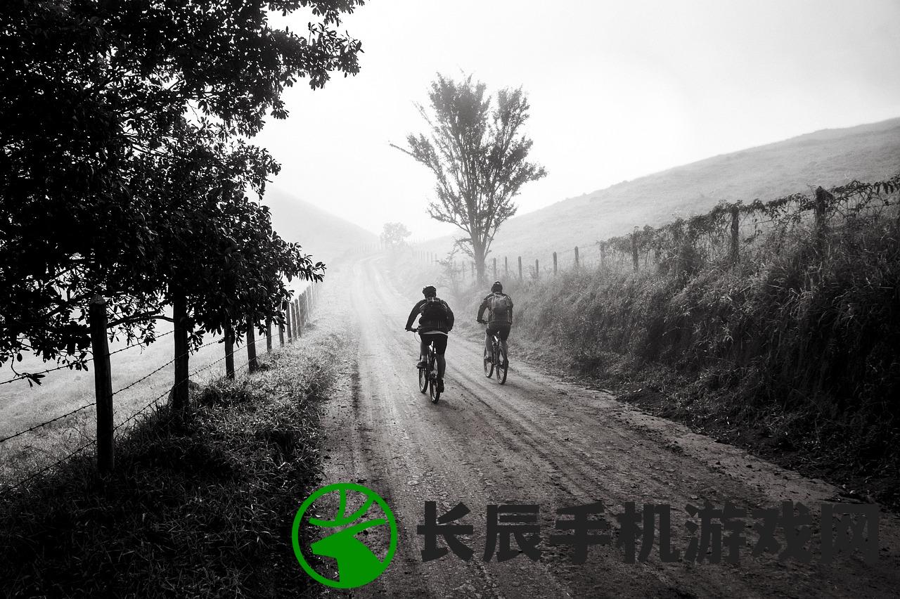 (大山的女儿:一部感人至深的家庭故事观后感500字)大山的女儿：一部感人至深的家庭故事观后感