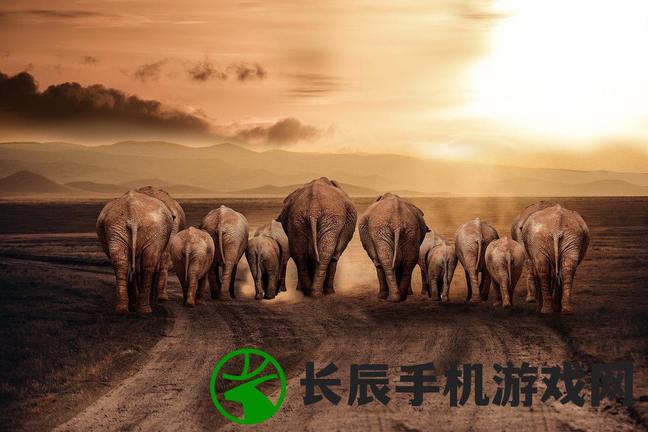 (茫然追逐的图片)茫然追逐遥远的梦，寻找答案在无尽的路上