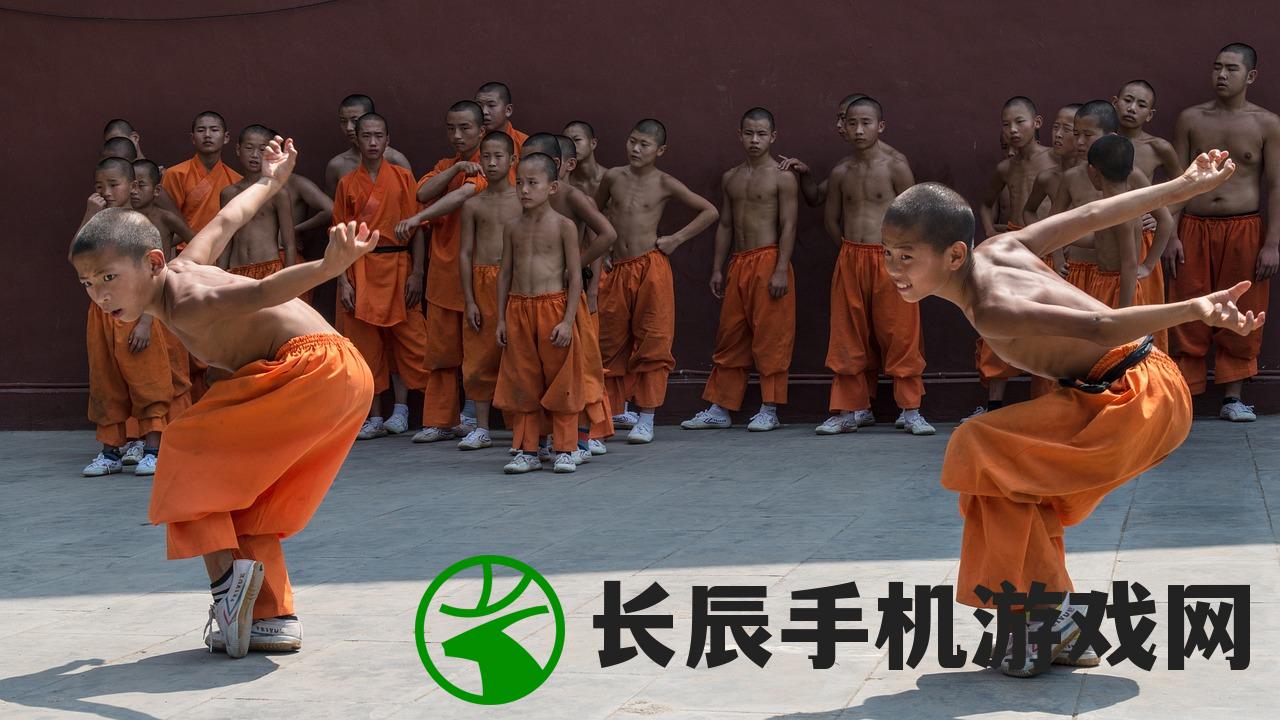 (国产武打最强大的电影:华夏功夫震撼世界在线观看)国产武打最强大的电影：华夏功夫震撼世界