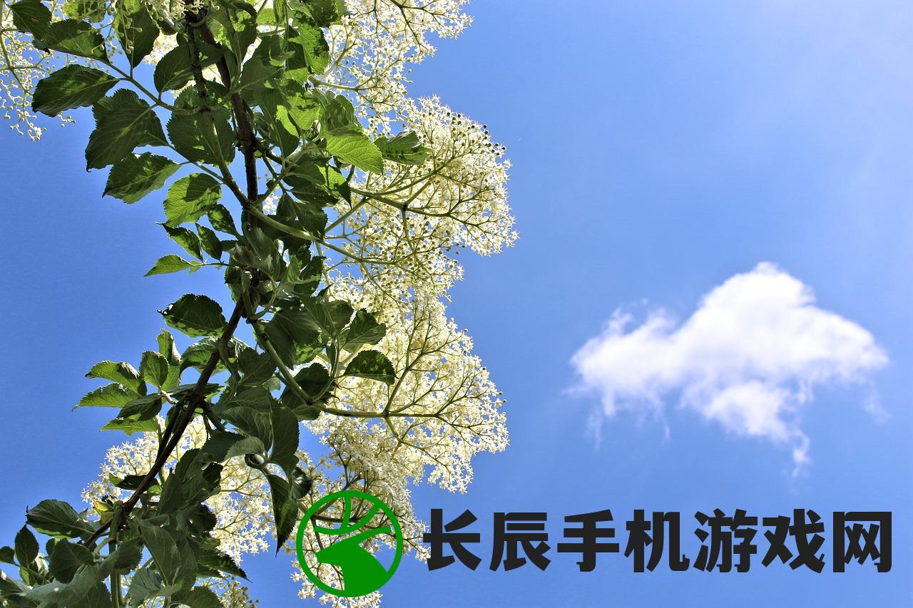 (红尘和浮华之间深刻的联系,缠绵不绝什么意思)红尘和浮华之间深刻的联系，缠绵不绝