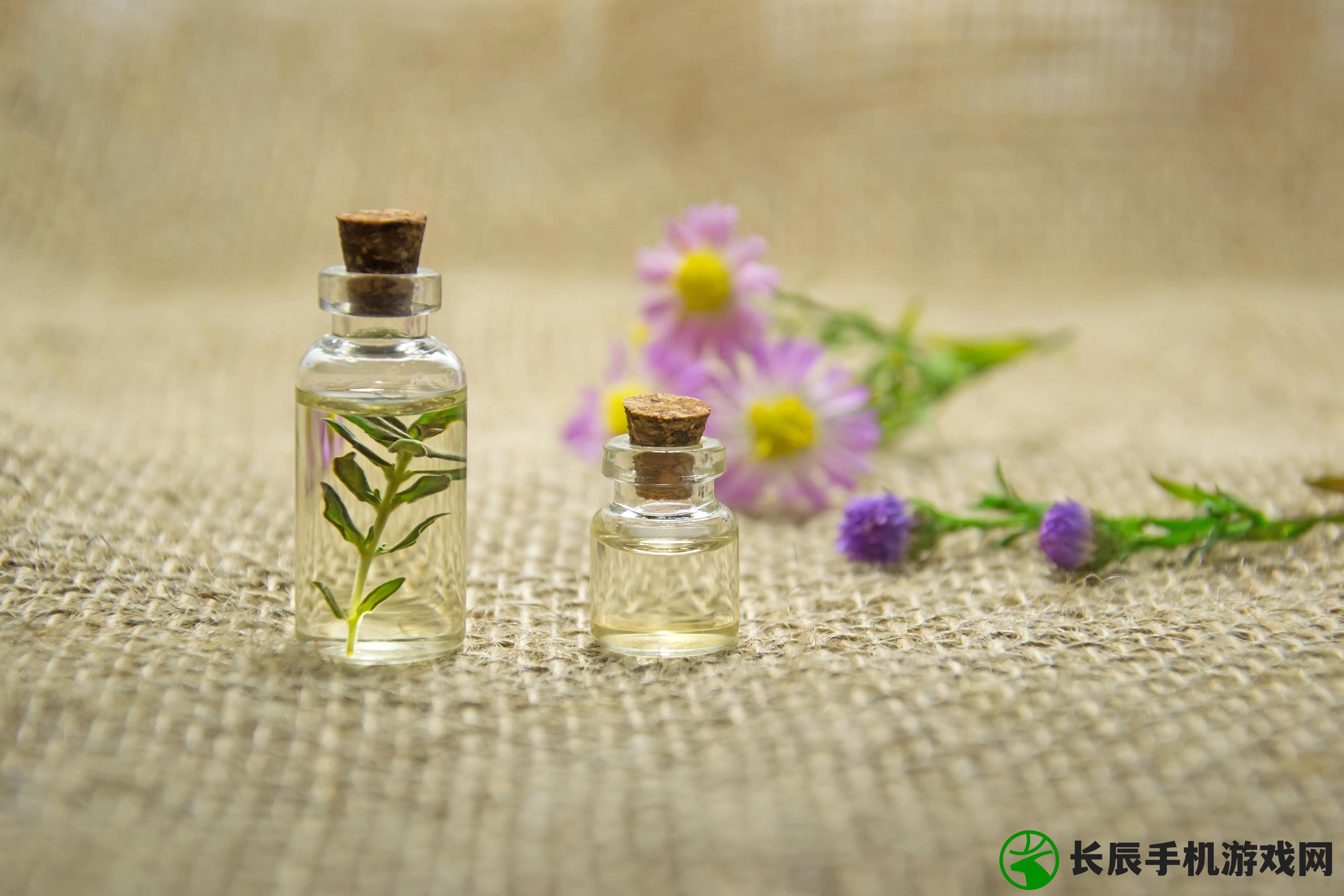 花与香水与猫兑换码在哪里使用？了解它们在哪些领域可以发挥作用