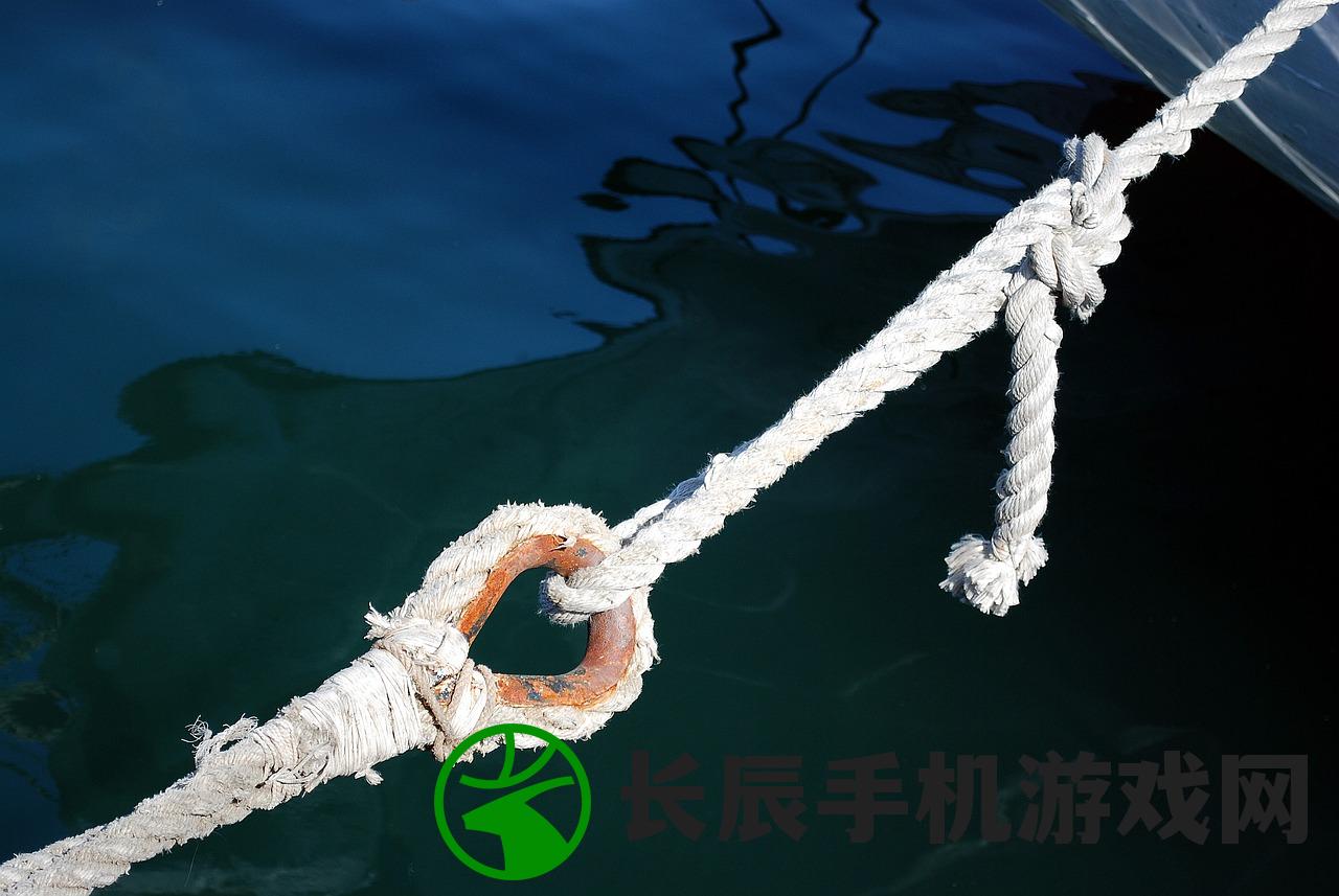 (谁才是真正的龙腾霸主?地位究竟高低如何确定呢)谁才是真正的龙腾霸主？地位究竟高低如何确定？