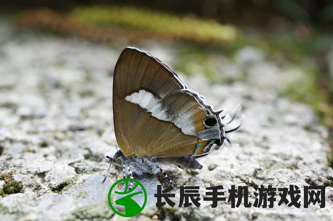 (独特霸气动物代号)超赞霸气动物代号，好听炫酷尽显无敌风采