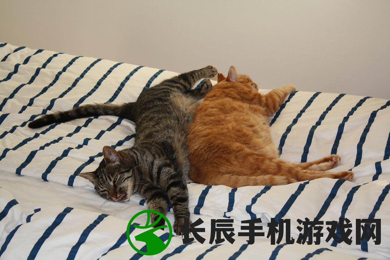 (灵猫传ios)为什么我下载不了灵猫传？有什么解决办法吗？