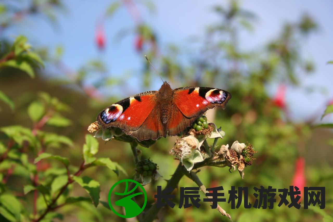 (血蝶是什么意思)探寻血蝶的起源与象征意义：源自神话传说的神秘生物