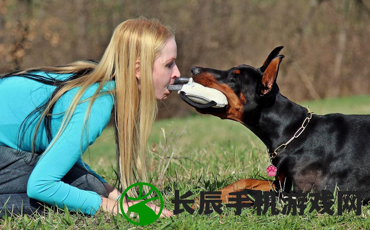 (两个宠物合成一个宠物的游戏)怀旧经典：两只宠物变身新宠物的合成游戏