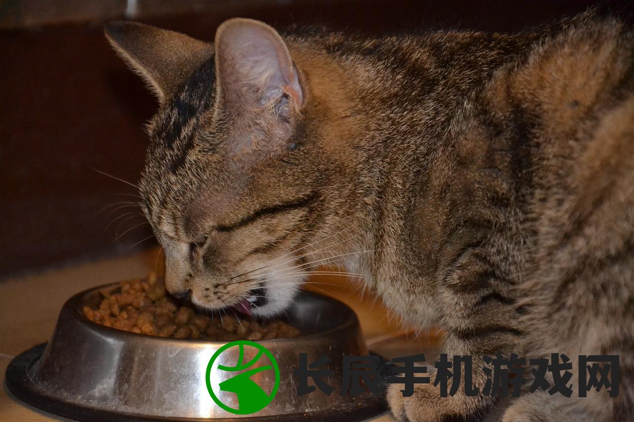 (猫咪打疫苗后不吃不喝没精神怎么办)怎么办？猫咪打疫苗后突然蔫了不吃不喝，应该怎么处理？
