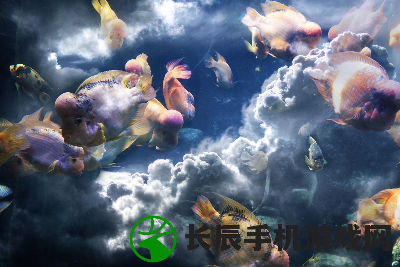 (石器时代之精灵王传说官网)探秘石器时代2.5：精灵王传说的神秘世界