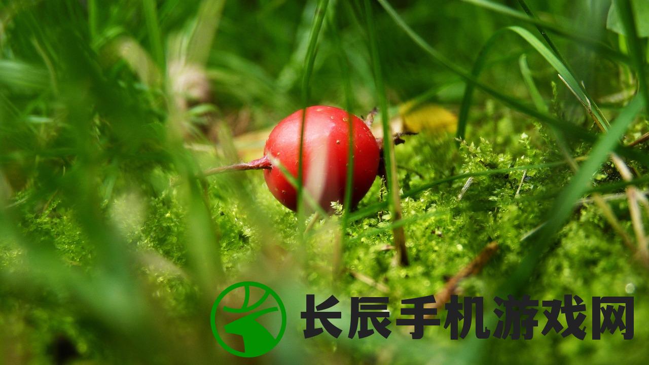 (新澳门网)新澳精准资料免费提供最新版|动态词语解释落实_户外版.3.690