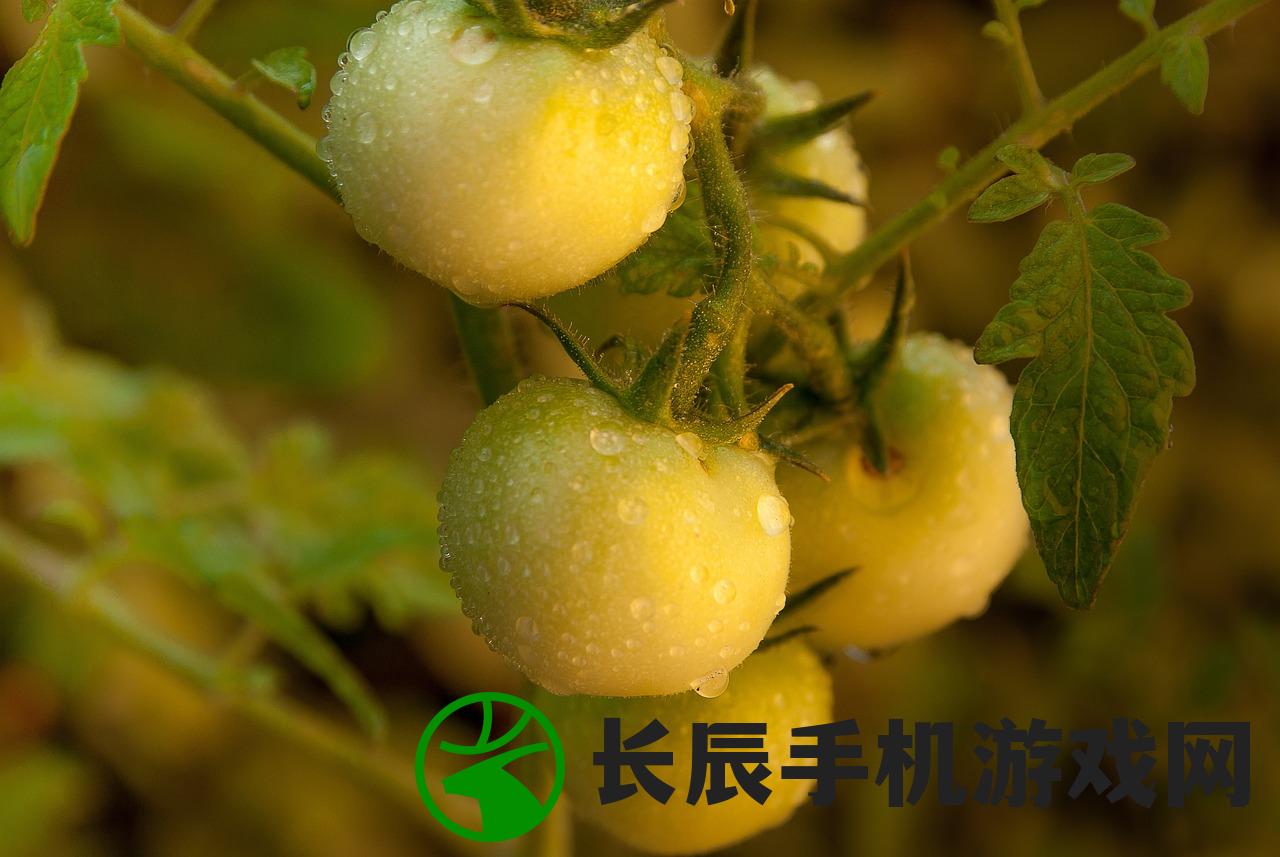 (江左梅郎是什么意思)澳门江左梅郎特马资料|探索语言中动态词汇的意义_活跃款.7.152