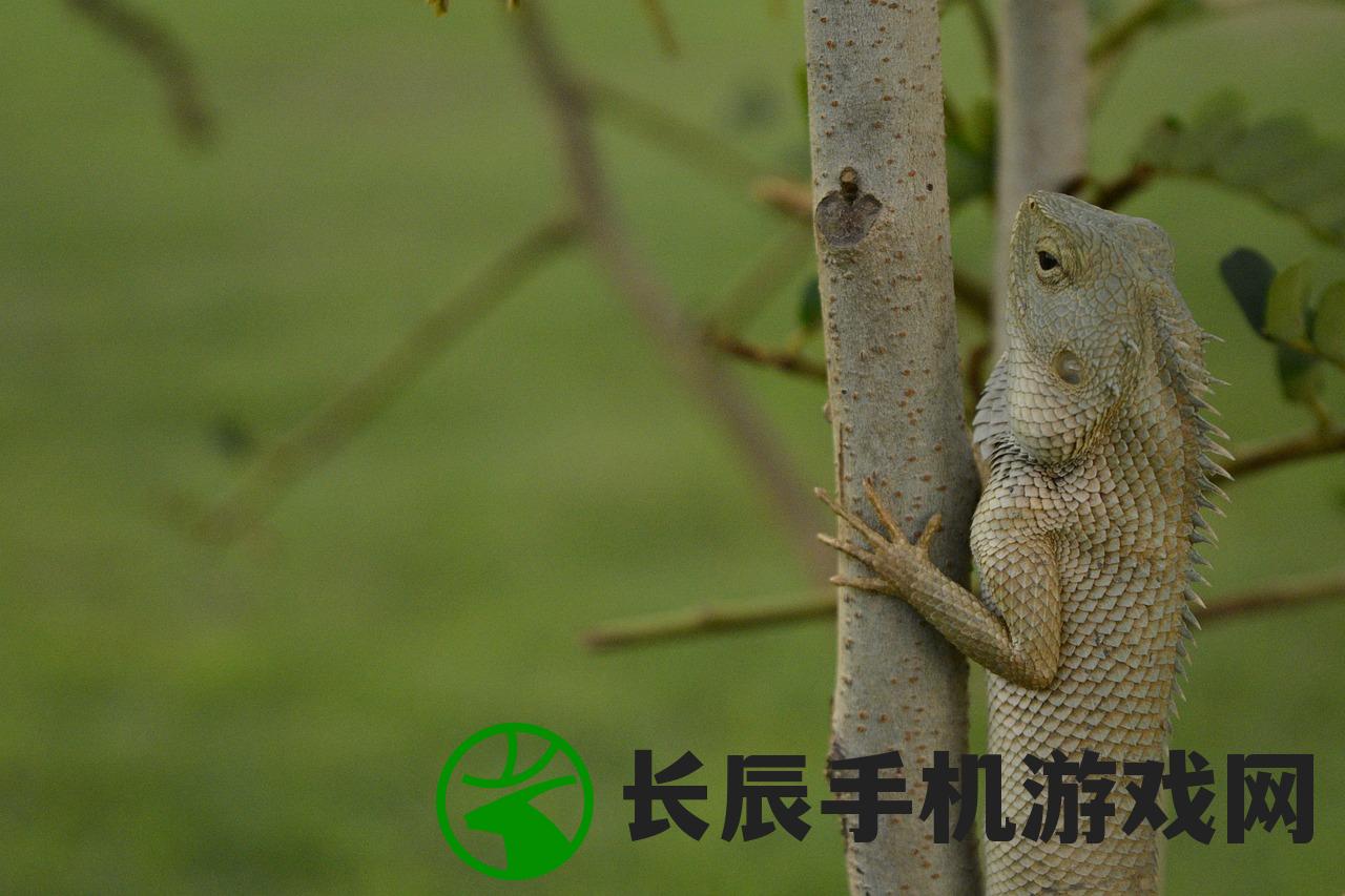 (四不像生肖特马图资料)四不像特马图今晚必出|探索生活中的小奇迹_检测版.3.616