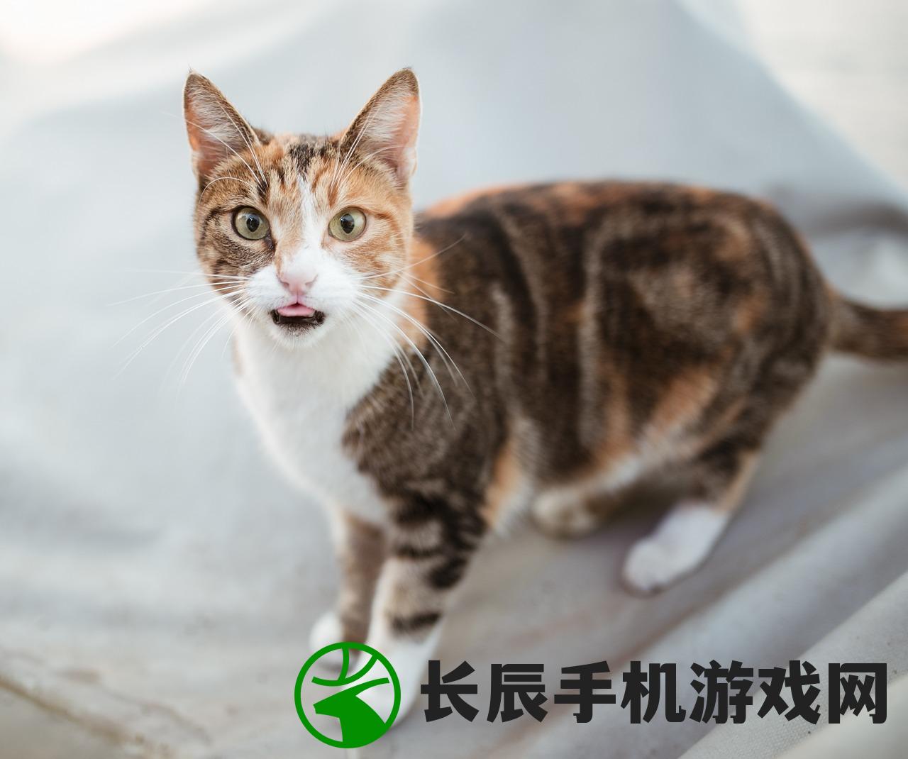 (虚空物理)虚空物语关服深度解析，原因与多元分析