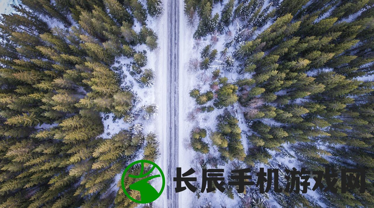 冰雪乐园策划方案：打造独一无二的冰雪乐园体验，让冰雪梦想照进现实