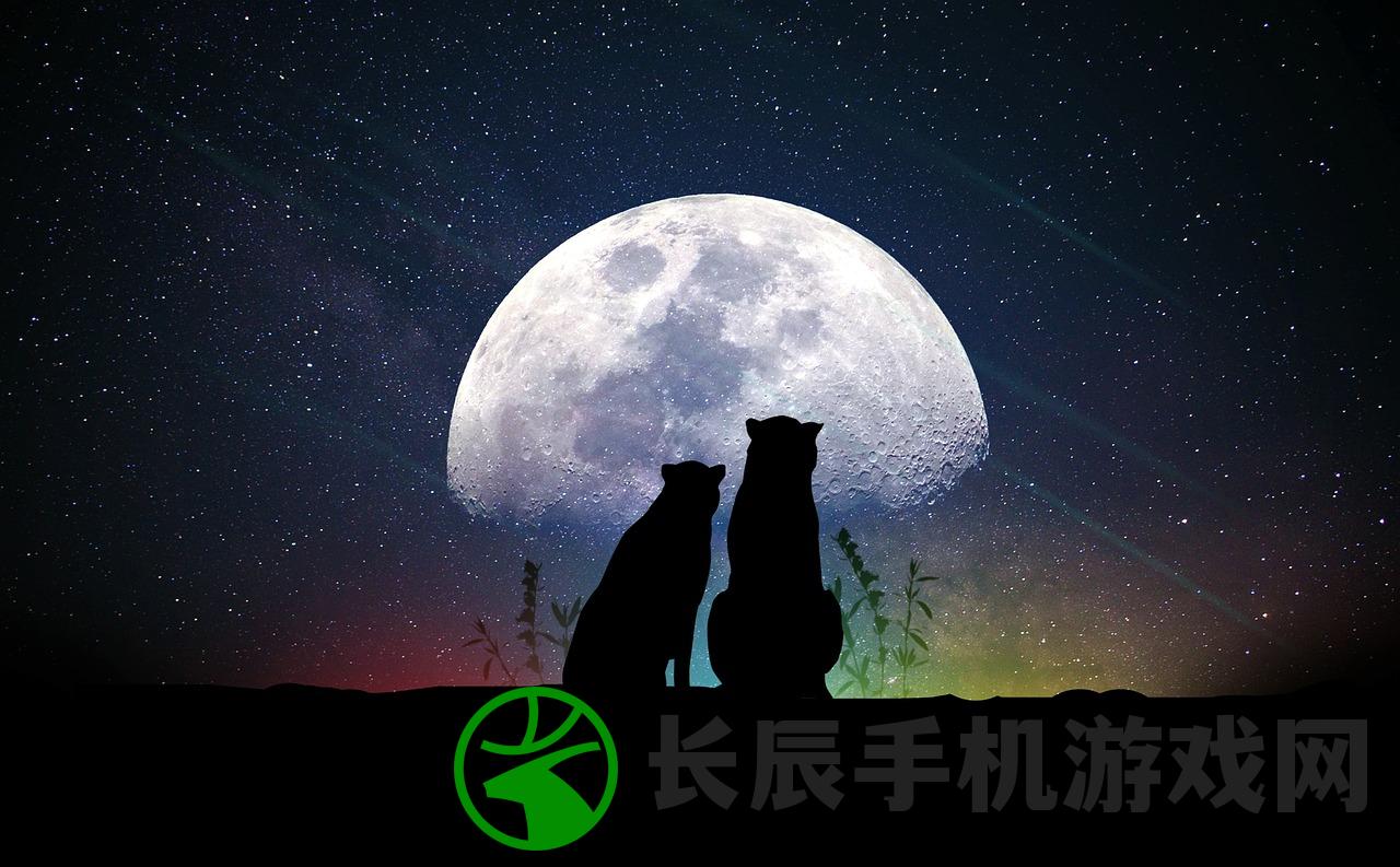 (搜索偶像活动planet)探索偶像活动planet游戏手机版的神奇世界