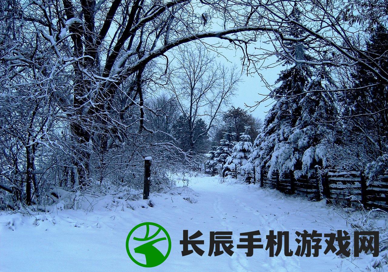 (第十一章 晋江文学城)雪中回眸：寻觅晋江文学城的迷失之路