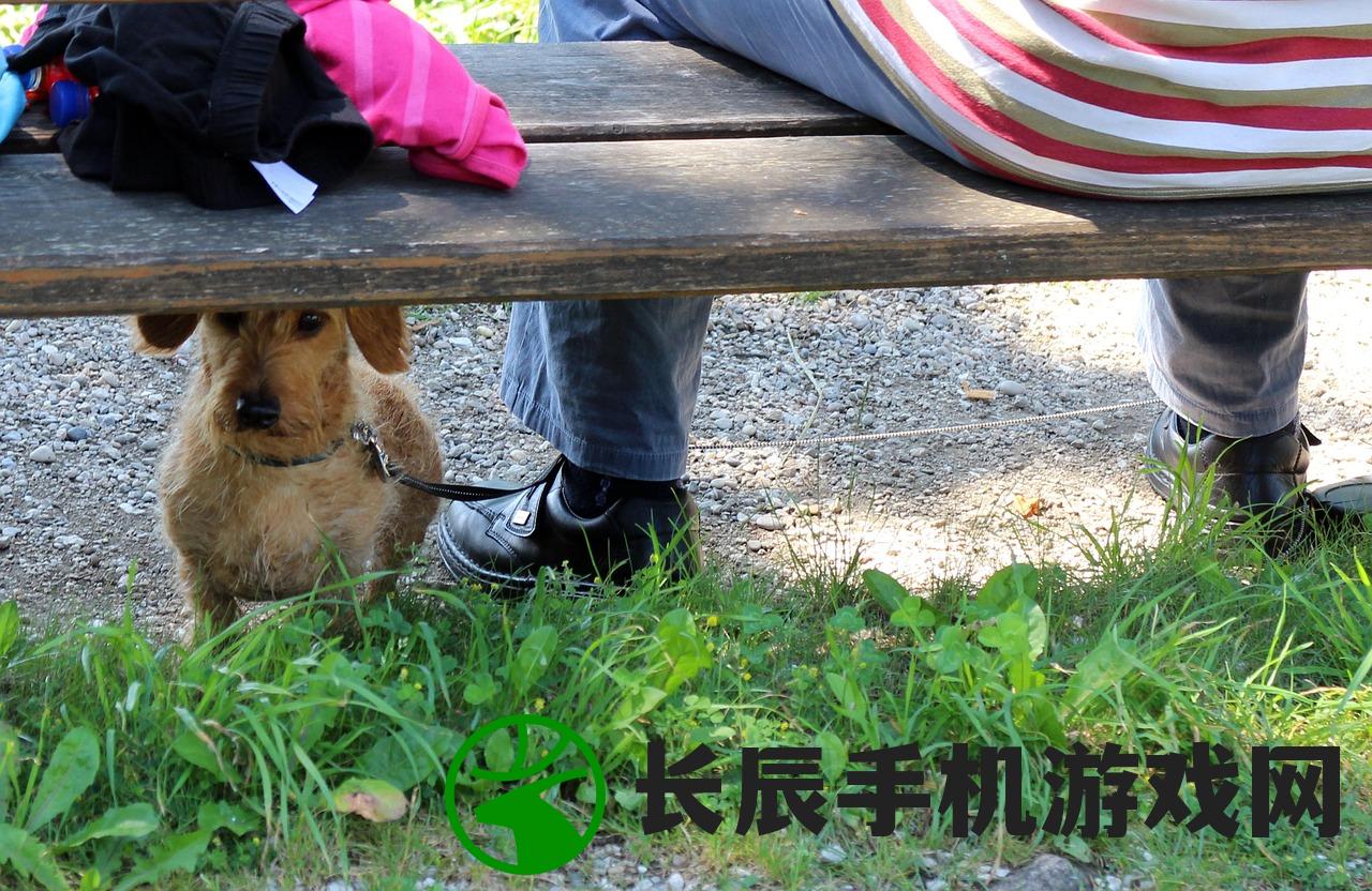 (乱世无双手游攻略)乱世无双手游，满V赠礼，战火重燃！