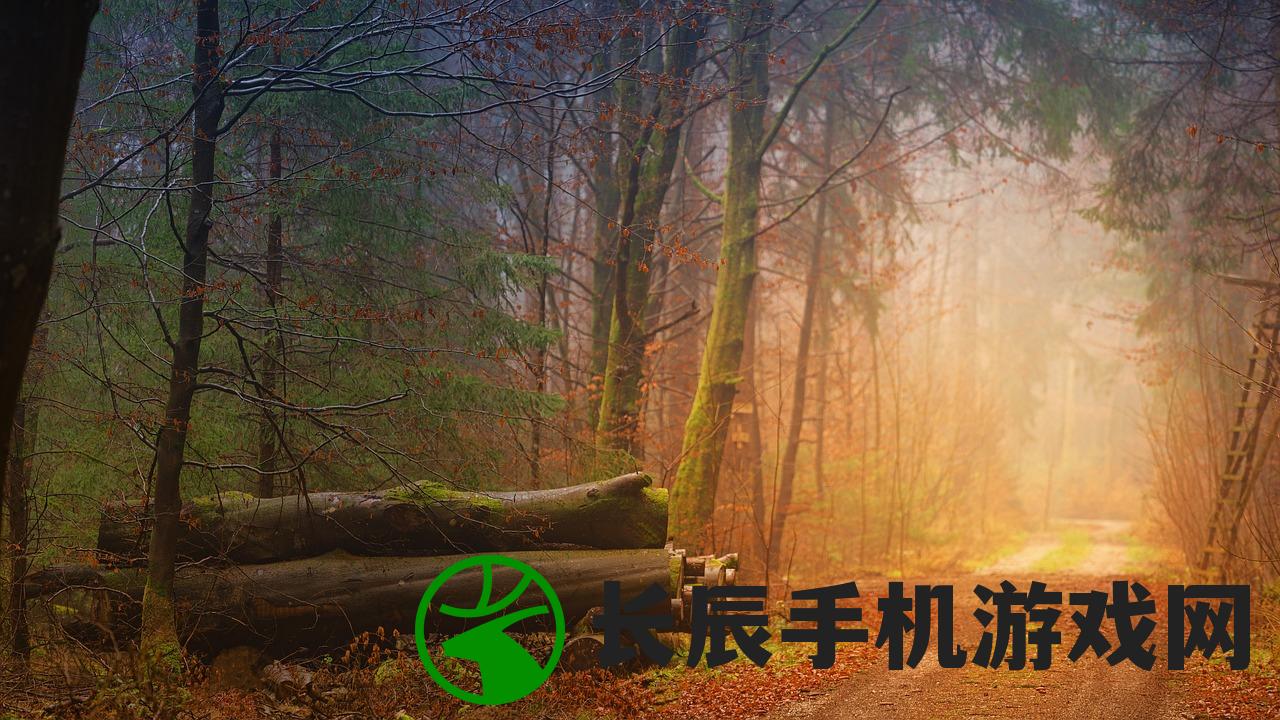 (霸业online)霸业官方版手游：挑战王者之路，统领苍穹乾坤
