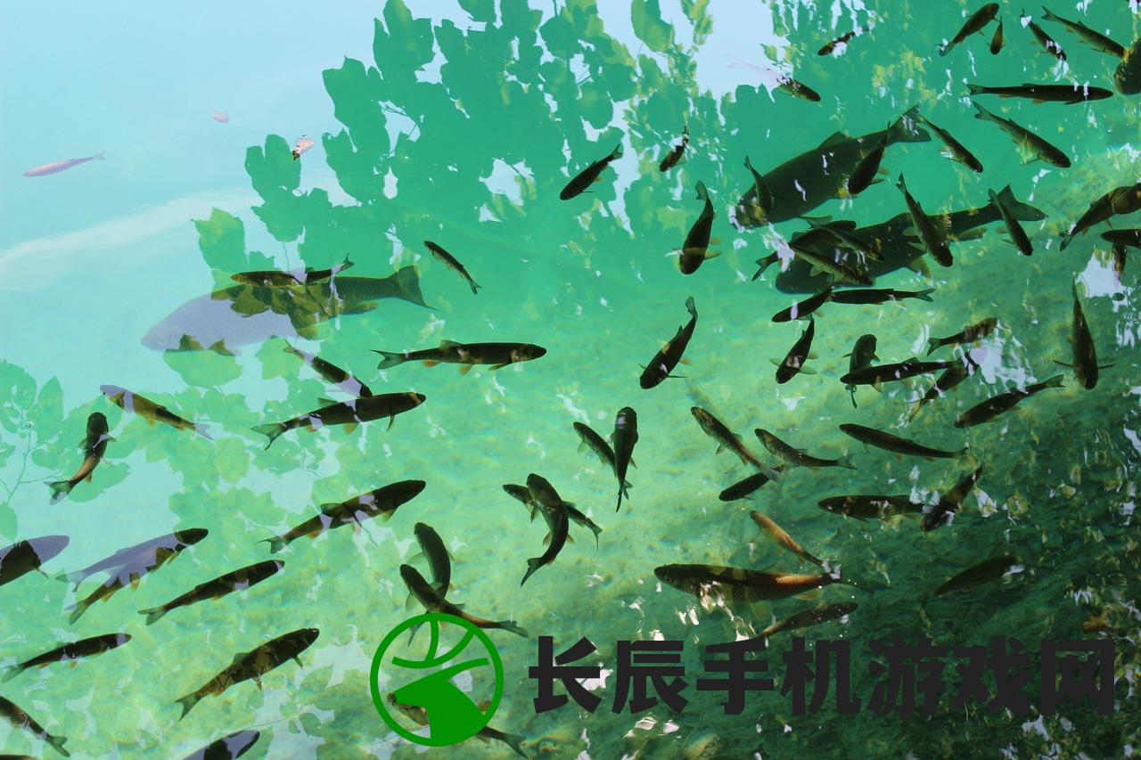 (钓鱼场玩法)钓场派对官方版中文：钓友欢聚热闹场所，捕鱼狂欢快乐无限