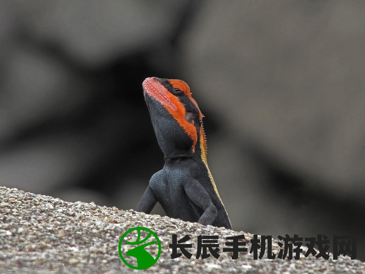 (见过龙的真实经历作文)见过龙的真实经历，神秘生物的真实存在与我们的世界