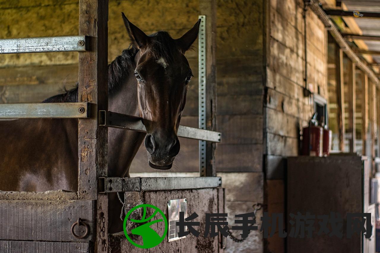 (三国罗曼史曹操是谁)罗曼史视角下的三国曹操