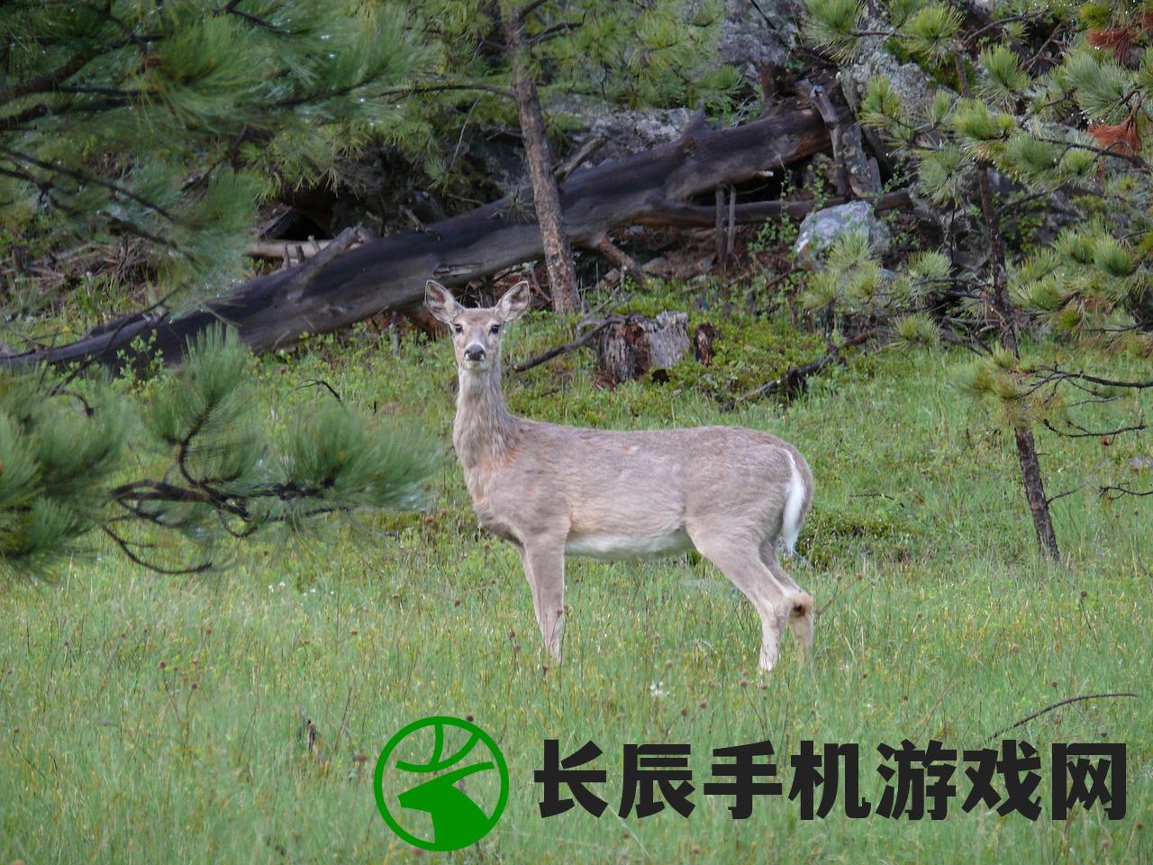 (非常普通的鹿正版手游下载)非常普通的鹿正版手游，探索独特游戏世界