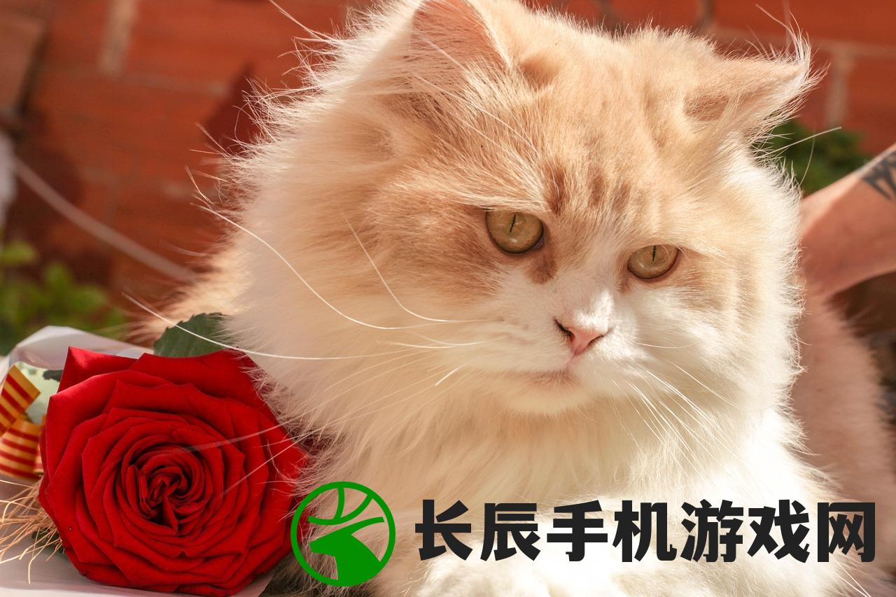 (花和香水为主题的构成图)花与香水与猫，下架之谜探究