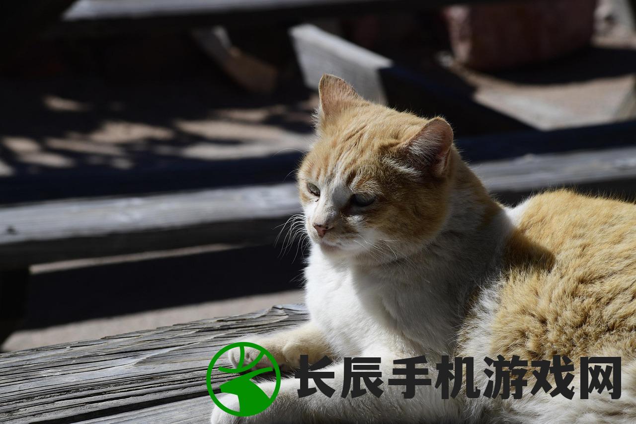 (猫和老鼠动画片免费全集播放)猫和老鼠，一场跨越时空的友谊与挑战