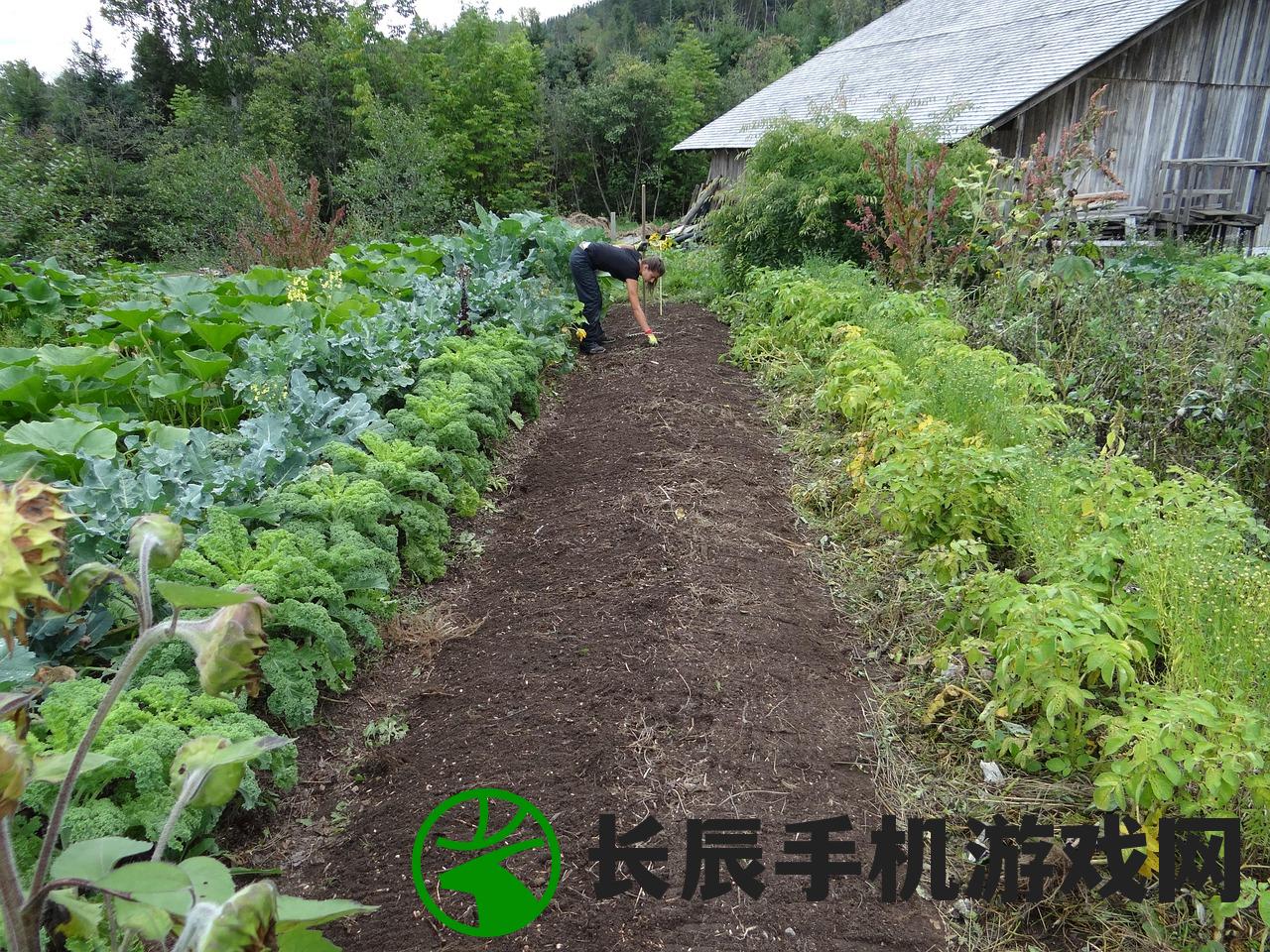 (蔬菜庄园红包版下载安装)蔬菜庄园红包版，体验田园乐趣，赢取丰厚奖励！