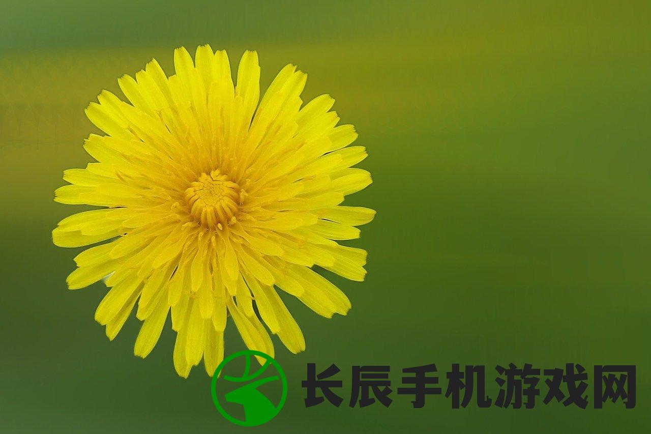 (灯草花和灯电影免费完整版)灯草花与灯，高清免费普通话版之下的文化交融与影视创新