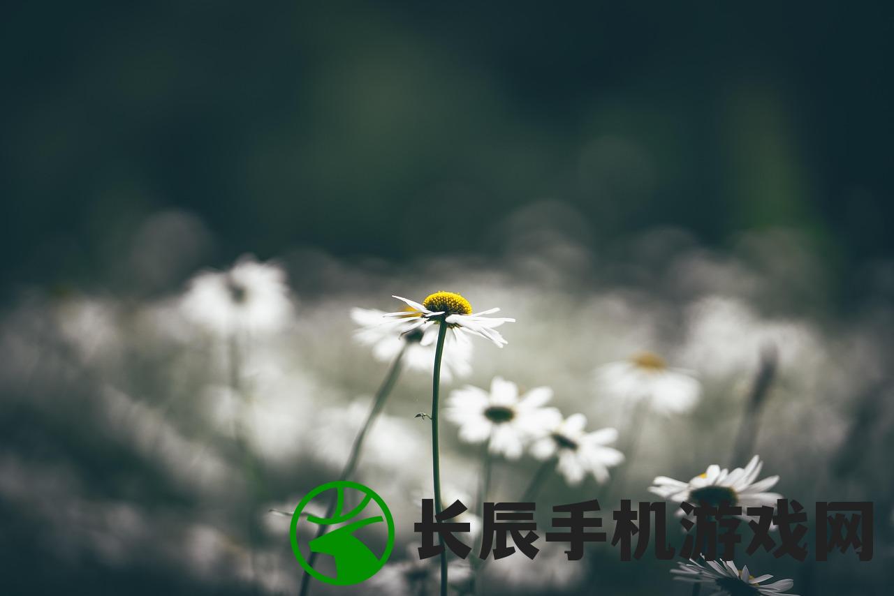 (葬花吟原文)葬花吟，古典诗歌中的情感深度与生态意识