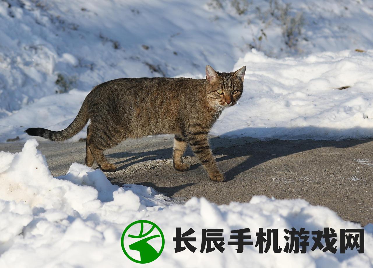 (猫咪田园下架了吗知乎)猫咪田园游戏下架了吗？——深度探讨与常见问题解答