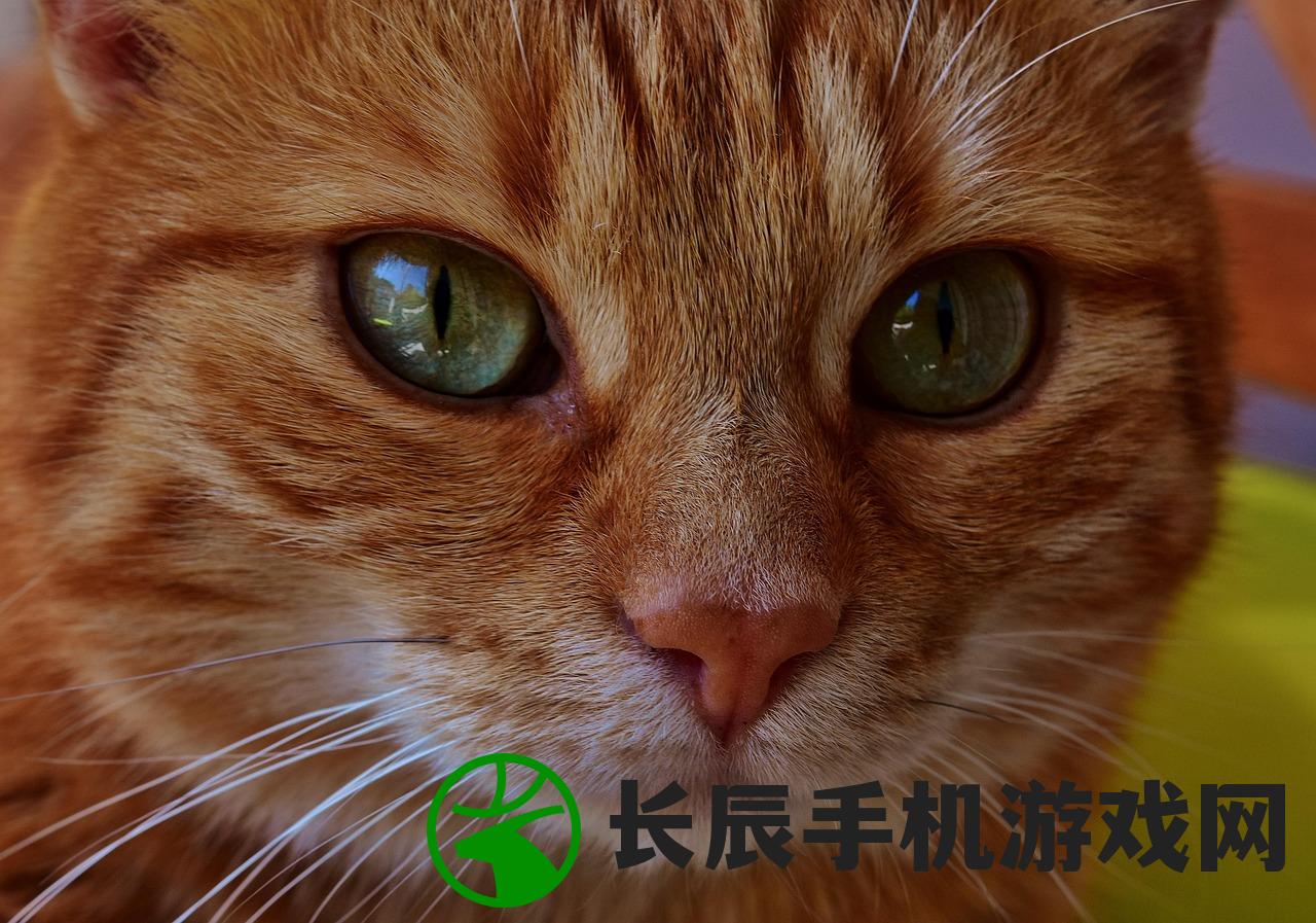 (猫咪田园下架了吗知乎)猫咪田园游戏下架了吗？——深度探讨与常见问题解答