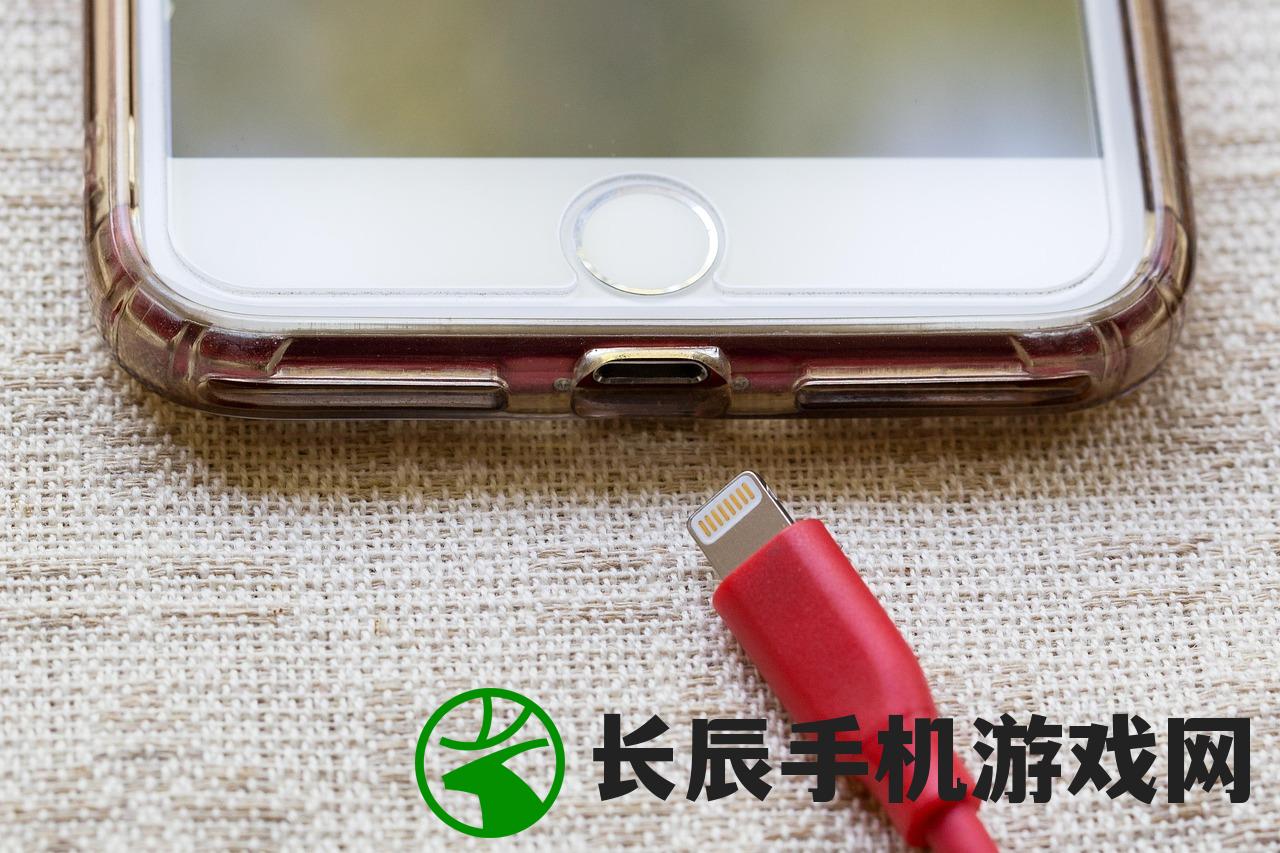 (十洲繁华景测试服怎么打不开)十洲繁华景测试服，探索未来游戏新纪元