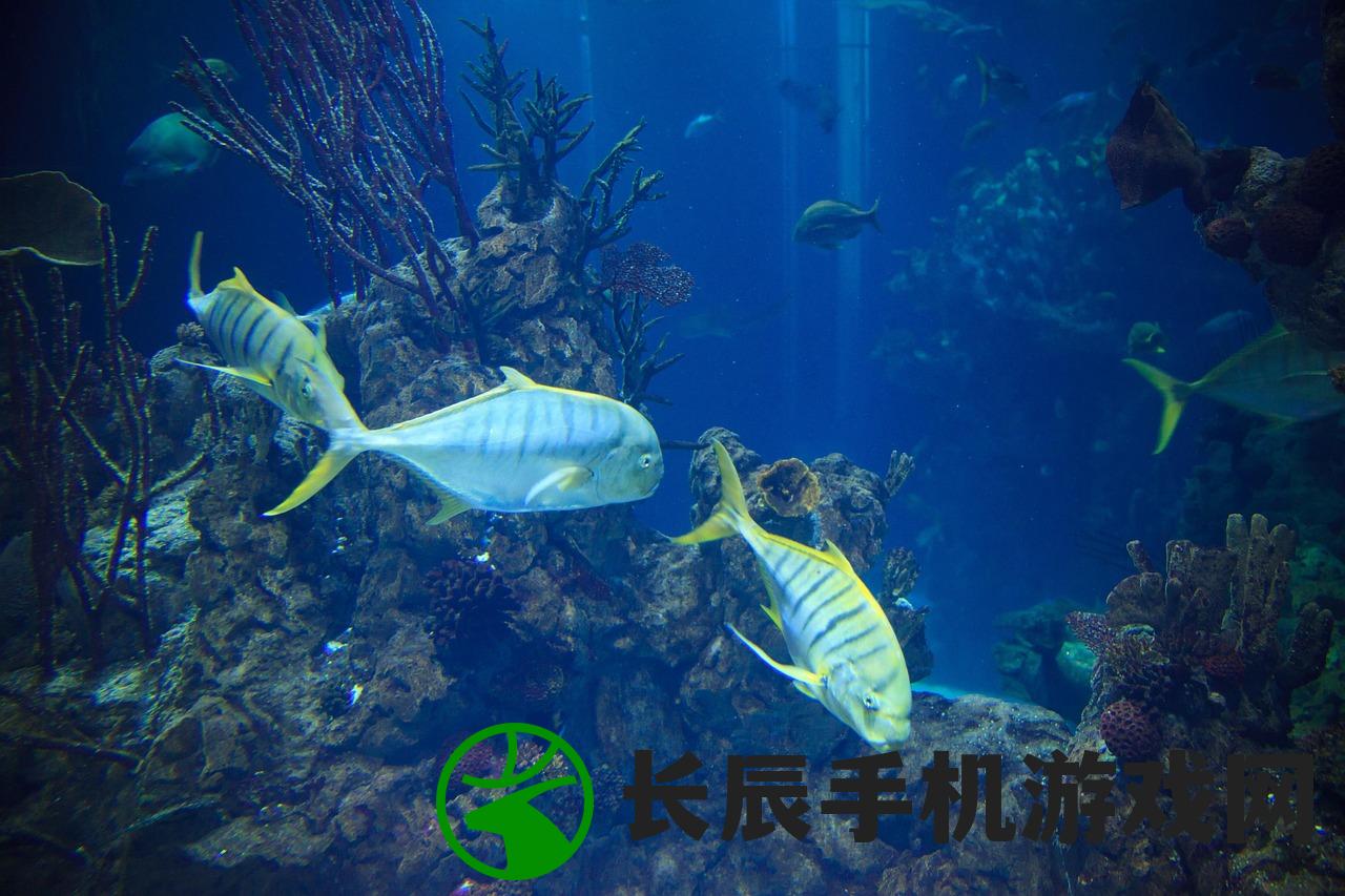 (水族馆乐园无限金币版无广吿)水族馆乐园无限金币版，探索虚拟海洋世界的宝藏