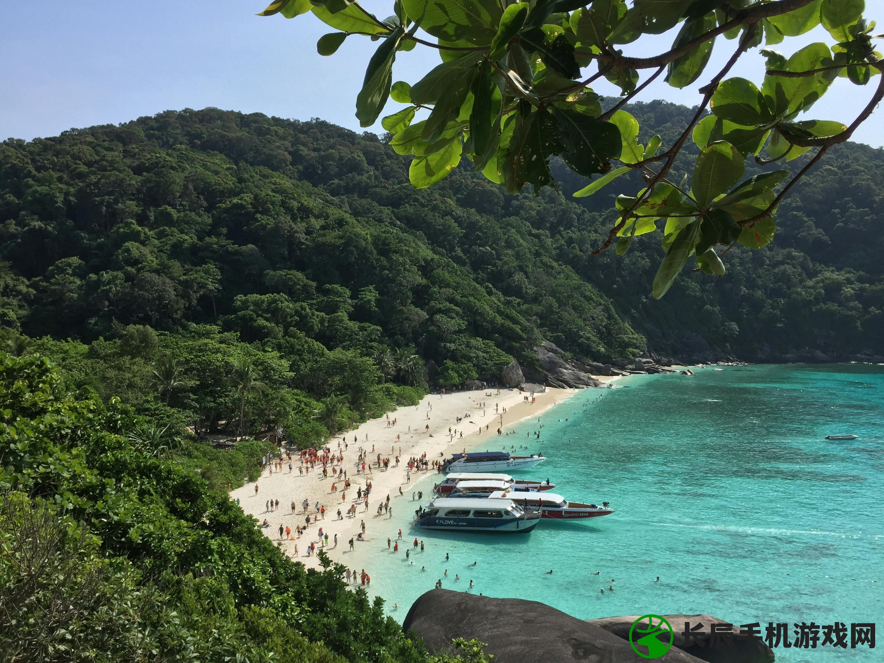 (喵喵村攻略)喵喵岛旅游攻略指南