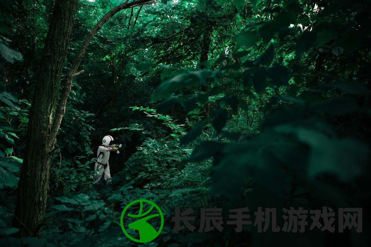 (血战龙城手游攻略大全)血战龙城手游，龙城争霸的热血冒险之旅