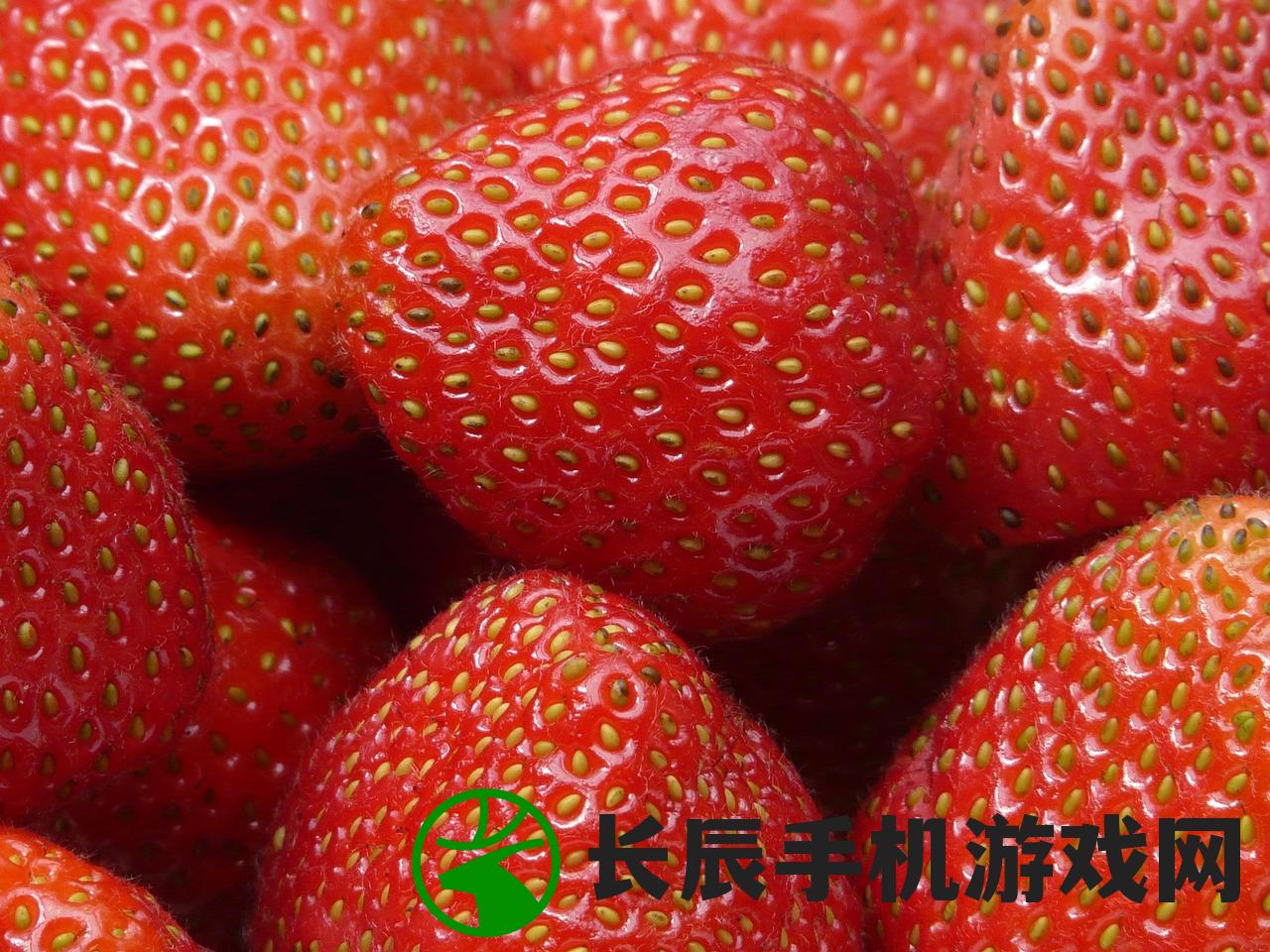 (朕的江山2武将)朕的江山2帅旗，游戏战略与英雄风采的完美结合