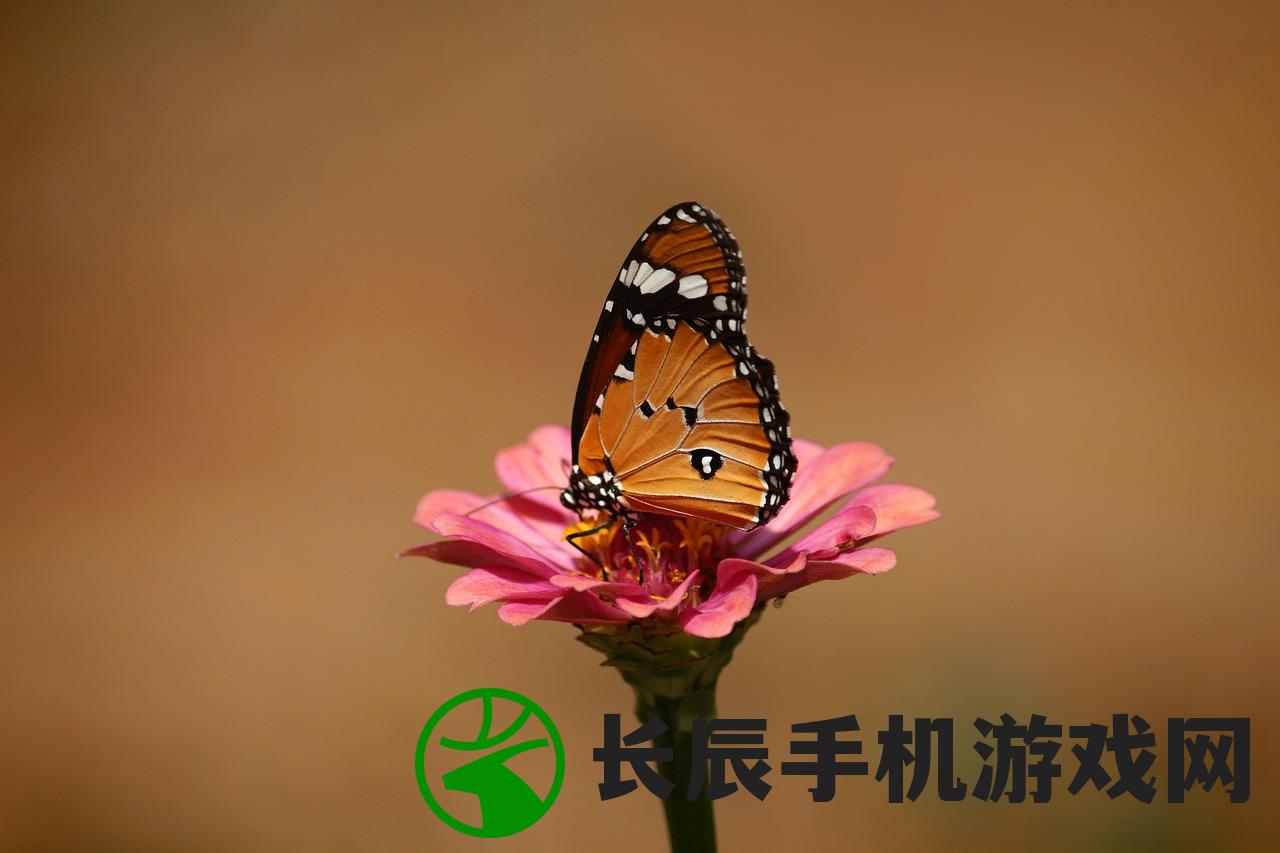 (狂漂皂角洗衣液建议买吗)狂漂皂角洗衣液，深度清洁与环保之选