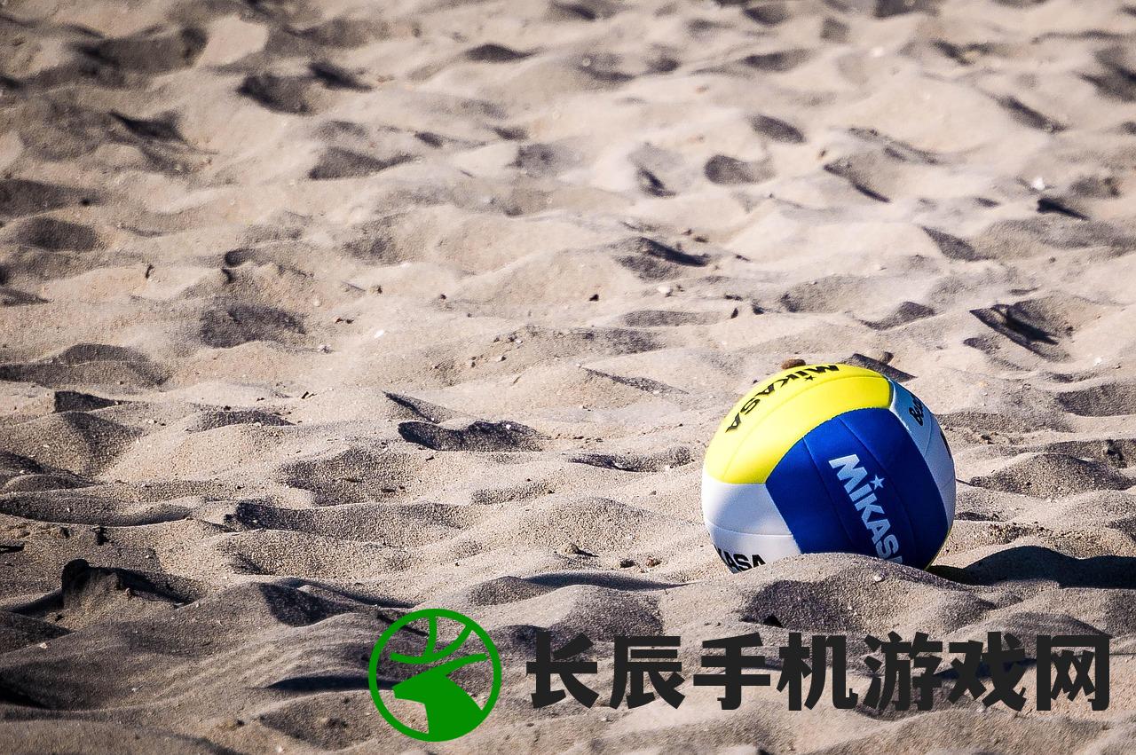 (死或生沙滩排球pc中文版下载)死或生沙滩排球PC版，游戏魅力与体验解析