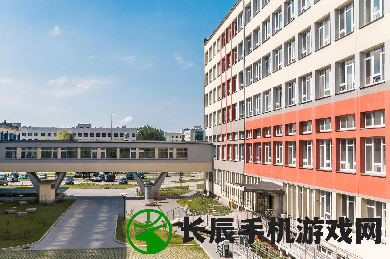 (神仙岭小学校长)神仙岭小学，探索教育新境界的典范