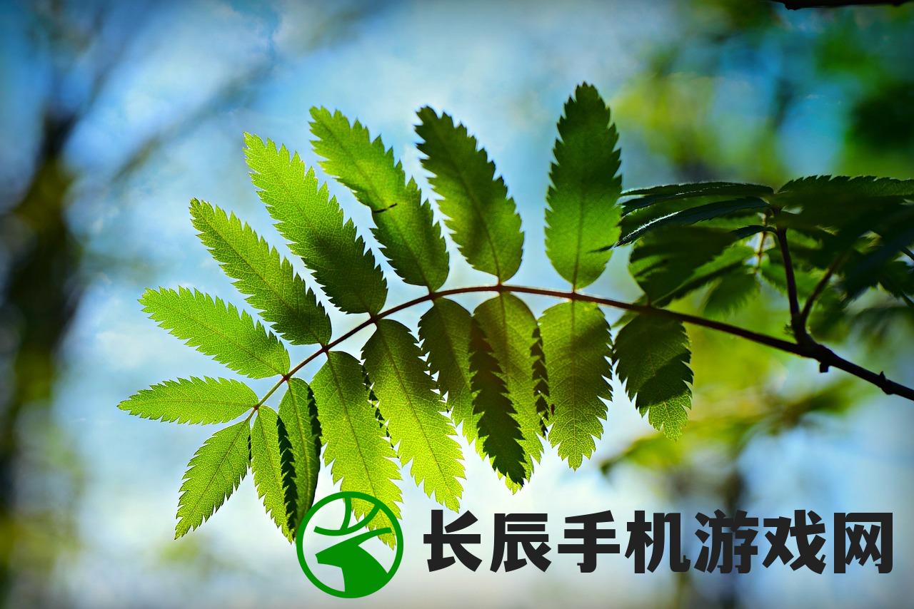 (谍战深海之惊蛰电视剧完整版全集)谍战深海之惊蛰电视剧完整版深度解析与常见问题解答