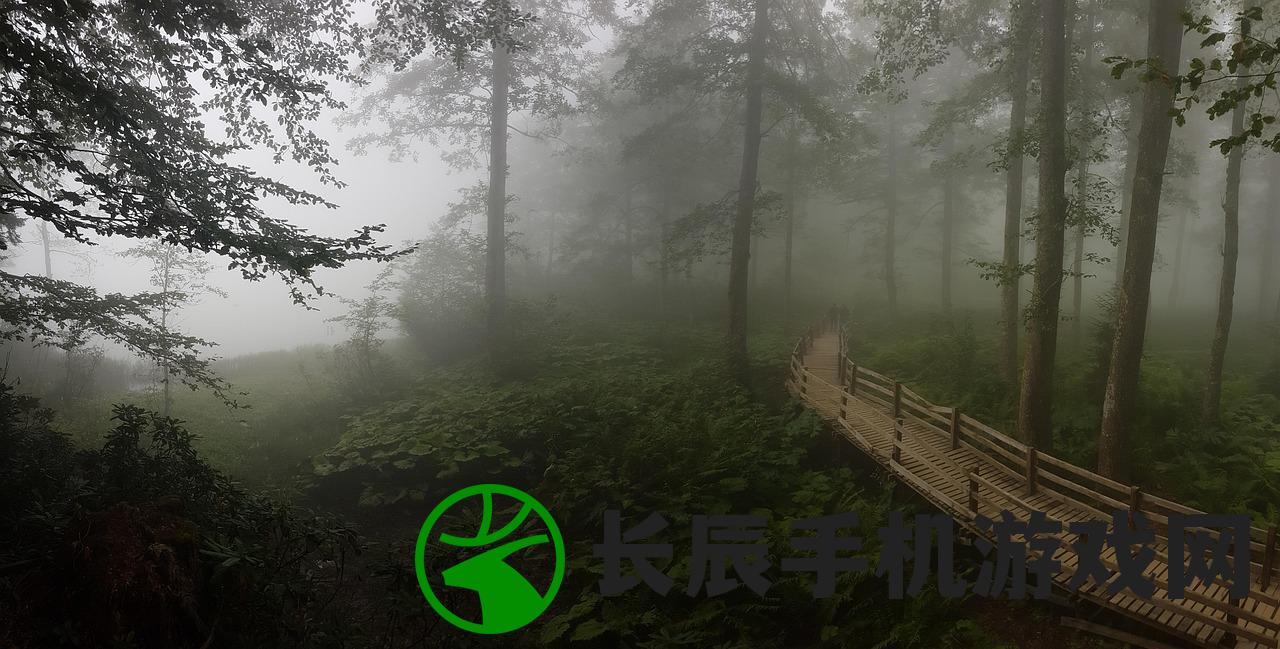(仿宋繁体字体转换器)仿宋繁体字体，古典韵味与现代应用的交融之美