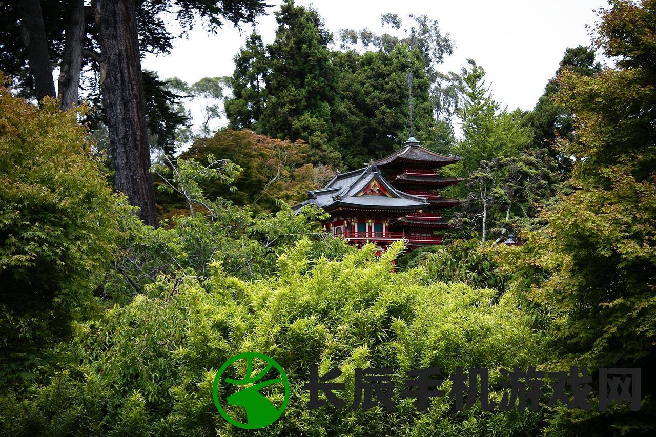 (解忧小村落布局图推荐)解忧小村落布局图，规划智慧，打造和谐宜居之地